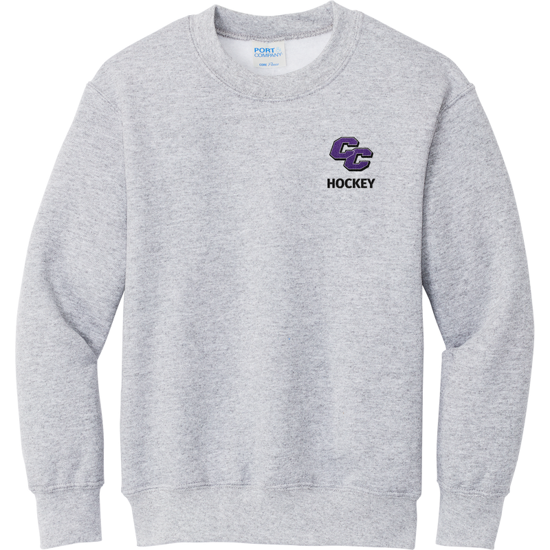Curry College Youth Core Fleece Crewneck Sweatshirt